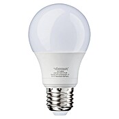 Voltolux Bombilla LED (15 W, E27, Color de luz: Blanco frío, No regulable, Redondeada)