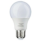 Voltolux Bombilla LED (6 W, E27, Color de luz: Blanco frío, No regulable, Redondeada)