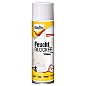 Molto Feuchtblocker (500 ml, Aerosoldose)