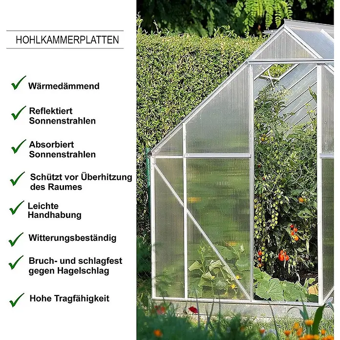 Floordirekt Doppelstegplatte Polycarbonat 60,5 x 121 cm 16 mm Transparent -  - Gewächshaus mit lichtdurchlässigen Hohlkammerplatten und Metallrahmen, schützt Tomaten- und Gurkenpflanzen.