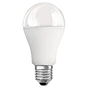Osram Ledlamp Star Classic A (11 W, E27, Koud wit, Mat)