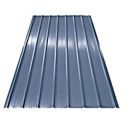 Dakplaat Dakplaat PP12 (200 cm x 91 cm x 0,4 mm, Grijs)