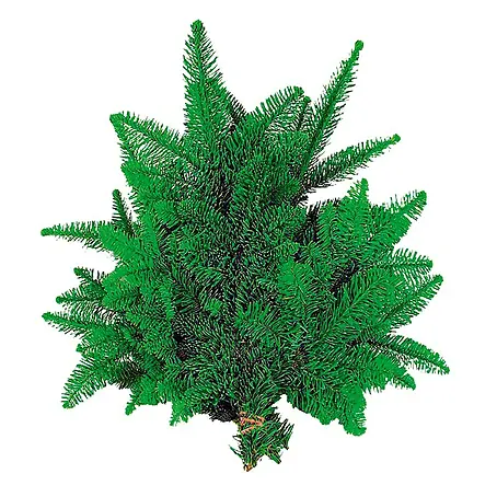 Piardino  Ramas de abeto Nobilis
