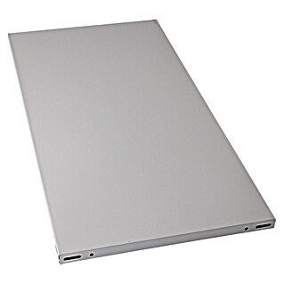 Regalux Legplank (l x b: 50 x 100 cm, Met poedercoating)