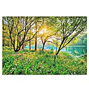 Komar Fototapete Spring Lake (8-tlg., 368 x 254 cm, Papier)
