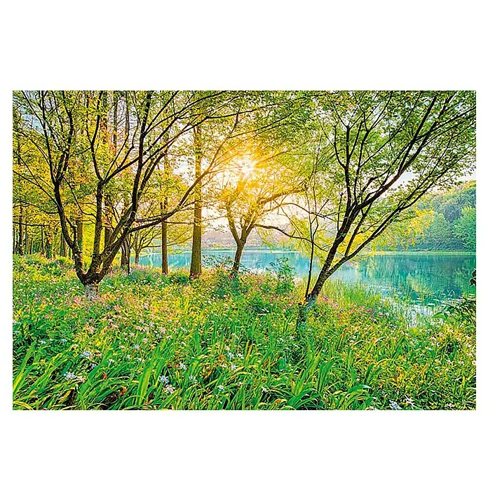 Komar Fototapete Spring Lake - 8 -tlg., B x H: 368 x 254 cm, Papier - Naturidylle: Ein sonnendurchfluteter Waldrand mit üppiger Vegetation und einem ruhigen See im Hintergrund.
