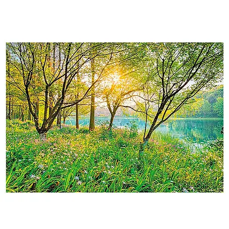 Komar  Fototapete Spring Lake