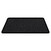 Deurmat Dimensie (Uni, Antraciet, 60 x 40 cm, 100 % polyethyleen)