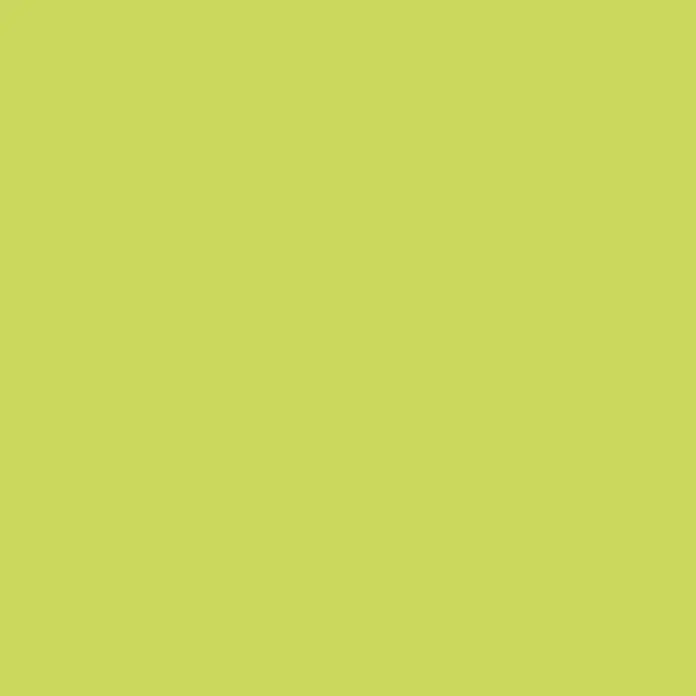 SCHÖNER WOHNEN-Farbe Wandfarbe Trendfarbe - Fresh, Matt, 1 l, Konservierungsmittelfrei - Einfarbiger Hintergrund in einem sanften Gelbton, ideal für minimalistische Designs und als ruhiger Hintergrund.
