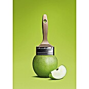 Schöner Wohnen Wandfarbe Trendfarbe Tester (Fresh, 50 ml, Matt)