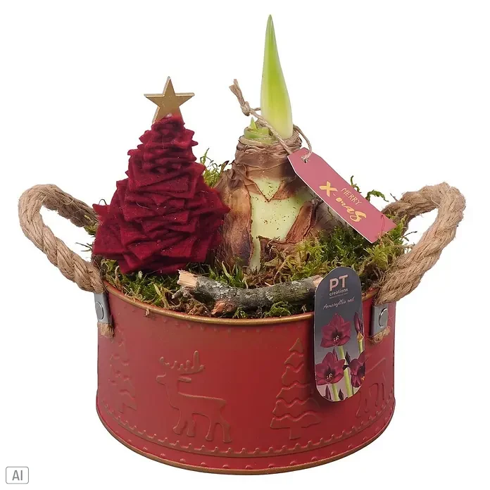 Piardino Adventsarrangement Winter - Rot - Vorderansicht