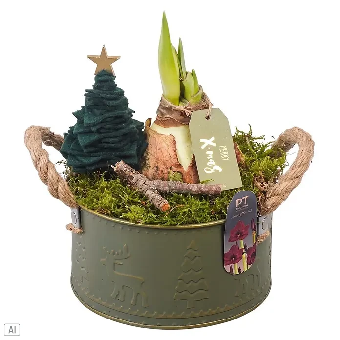 Piardino Adventsarrangement Nr.2 - Grün - Vorderansicht
