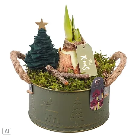 Piardino  Adventsarrangement Nr.2