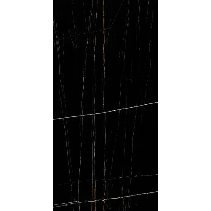 Feinsteinzeugfliese ELEGANCE BLACK – 60 x 120 cm, Marmoroptik, Brillant - 