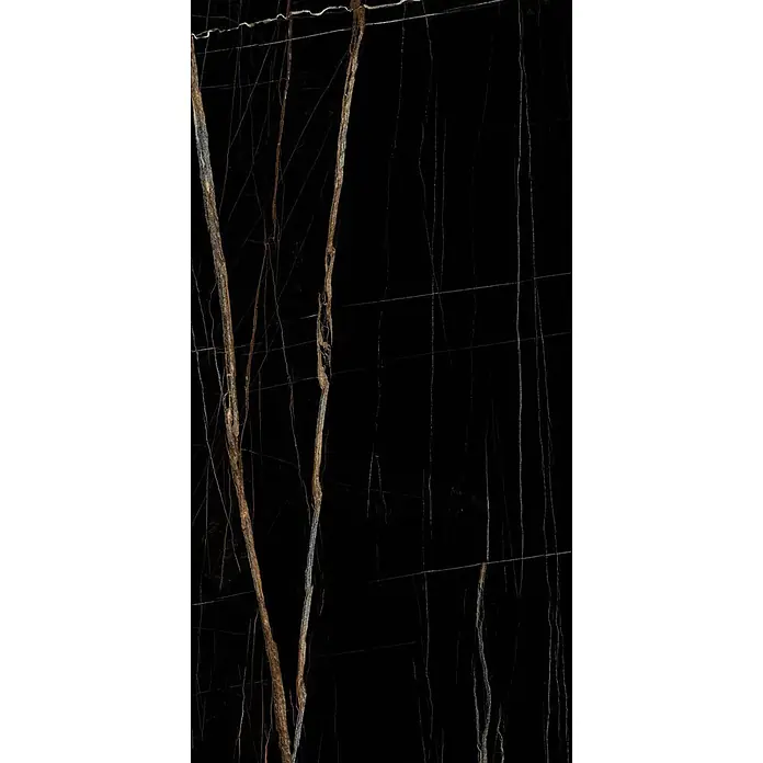 Feinsteinzeugfliese ELEGANCE BLACK – 60 x 120 cm, Marmoroptik, Brillant - 