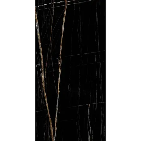 Feinsteinzeugfliese ELEGANCE BLACK – 60 x 120 cm, Marmoroptik, Brillant