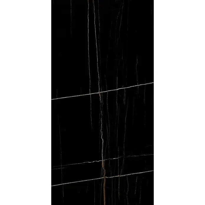 Feinsteinzeugfliese ELEGANCE BLACK – 60 x 120 cm, Marmoroptik, Brillant - 