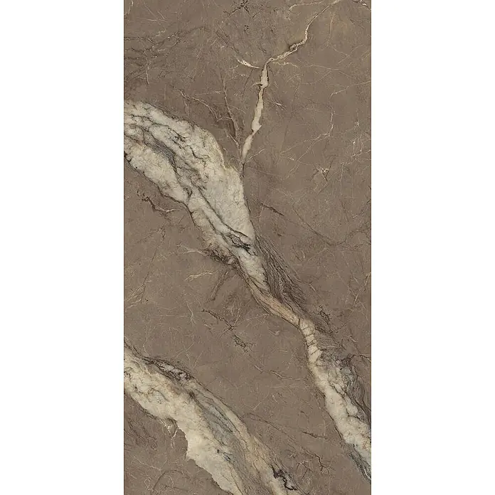 Feinsteinzeugfliese BERRY BROWN – 60 x 120 cm, Marmoroptik, Brillant - 