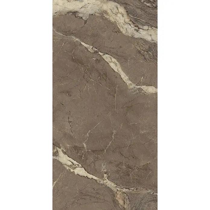 Feinsteinzeugfliese BERRY BROWN – 60 x 120 cm, Marmoroptik, Brillant - 