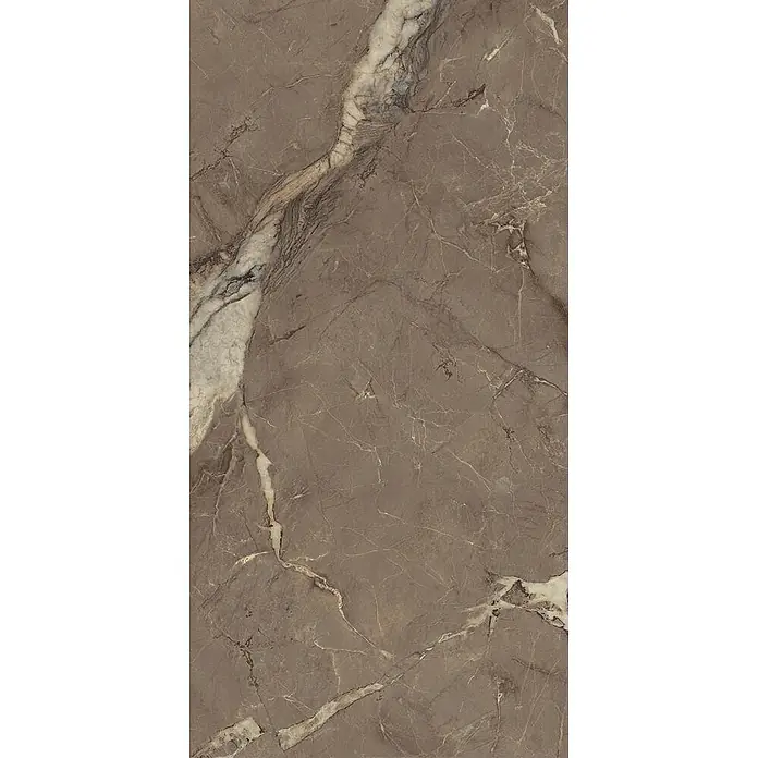 Feinsteinzeugfliese BERRY BROWN – 60 x 120 cm, Marmoroptik, Brillant - 