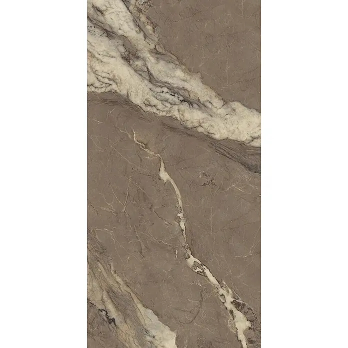 Feinsteinzeugfliese BERRY BROWN – 60 x 120 cm, Marmoroptik, Brillant - 
