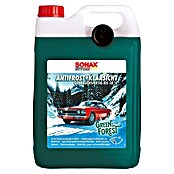 Sonax Scheibenfrostschutz-Konzentrat Antifrost & Klarsicht Green Forest (5 l) | BAUHAUS