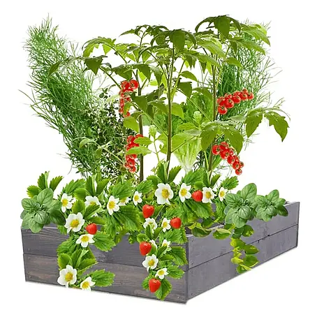 Hochbeete Growline Holz | HxBxT 18x83x80 cm | Kieferholz | Grau