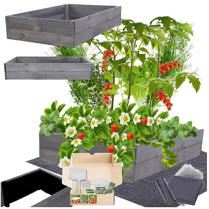 Hochbeete Growline Holz | HxBxT 18x83x80 cm | Kieferholz | Grau -  - Graues Holz-Hochbeet-Set mit Pflanzen und Gartenzubehör.