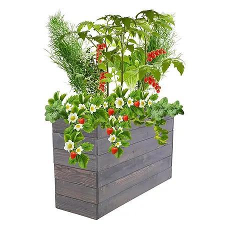 Hochbeete Growline Holz | HxBxT 54x103x30 cm | Kieferholz | Grau