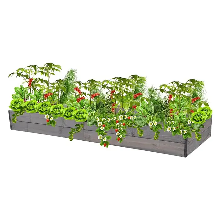 Hochbeete Growline Holz | HxBxT 18x163x80 cm | Kieferholz | Grau -  - Graues Hochbeet aus Holz, bepflanzt mit verschiedenen grünen Pflanzen, roten Tomaten und Erdbeeren.