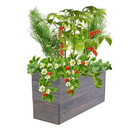 Hochbeete Growline Holz | HxBxT 45x93x30 cm | Kieferholz | Grau