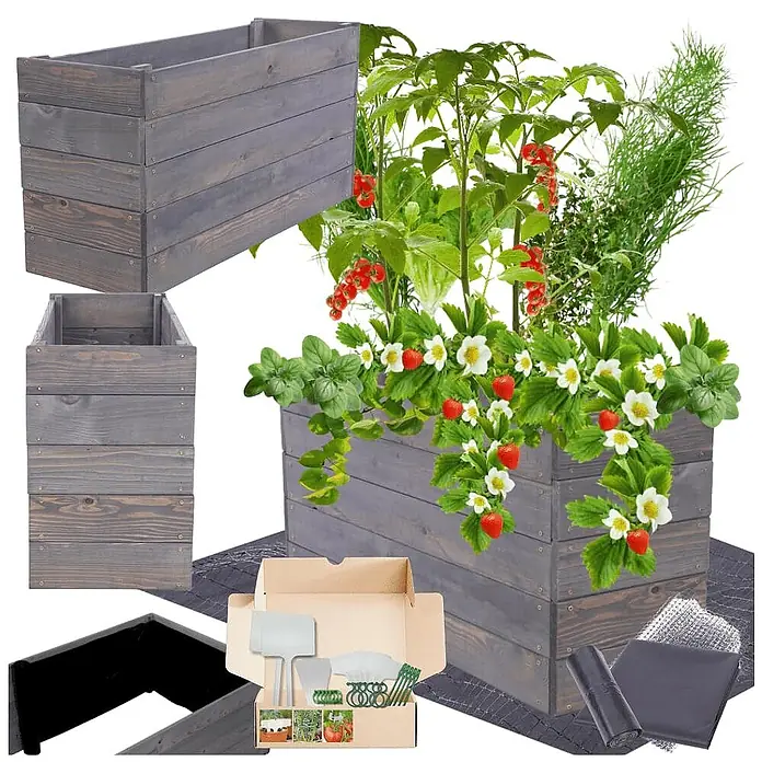Hochbeete Growline Holz | HxBxT 45x93x30 cm | Kieferholz | Grau -  - Graues Hochbeet aus Holz mit Pflanzen, darunter Erdbeeren und Tomaten, mit Folie, Gitter und Gartengeräten.