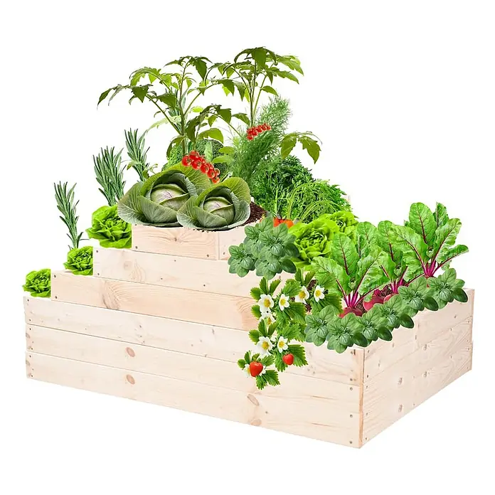 Hochbeete GardenStep Holz | HxBxT 9x30x120cm | 1 Ebene | Holz | Natur -  - Gestuftes Hochbeet aus hellem Holz, bepflanzt mit verschiedenen Gemüsesorten und Kräutern.