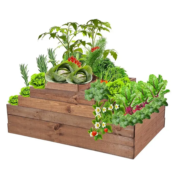 Hochbeete GardenStep Holz | HxBxT 9x60x120cm | 1 Ebene | Holz | Braun -  - Gestuftes Hochbeet aus braunem Holz, bepflanzt mit verschiedenen Gemüsen und Kräutern.