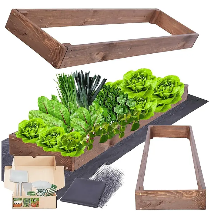 Hochbeete GardenStep Holz | HxBxT 9x30x100cm | 1 Ebene | Holz | Braun -  - Dunkelbraunes Holz-Hochbeet-Set, gezeigt mit Pflanzen und Zubehör für den Garten.