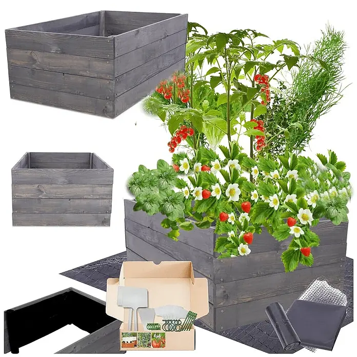 Hochbeete Growline Holz | HxBxT 36x83x80 cm | Kieferholz | Grau -  - Graues Hochbeet-Bausatz aus Holz, bepflanzt mit Erdbeeren, Tomaten und Kräutern, inkl. Gartengeräten und Zubehör.