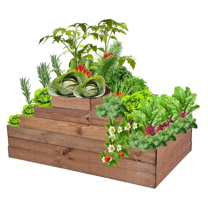 Hochbeete GardenStep Holz | HxBxT 9x30x80cm | 1 Ebene | Holz | Braun -  - Braunes hölzernes gestuftes Hochbeet zum Anbau von Gemüse und Kräutern.