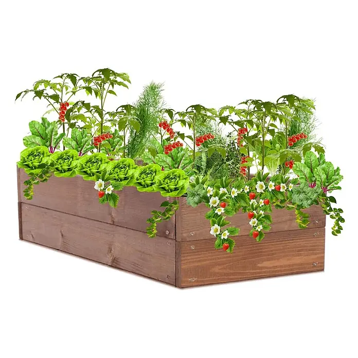 Hochbeete Growline Holz | HxBxT 18x103x30 cm | Kieferholz | Braun -  - Braunes Holz-Hochbeet gefüllt mit grünem Salat, Erdbeeren, Tomaten und anderem Gemüse.