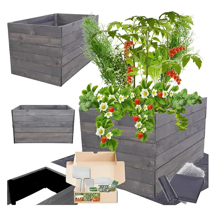 Hochbeete Growline Holz | HxBxT 54x83x80 cm | Kieferholz | Grau -  - Graues Holz-Hochbeet-Set mit Pflanzen und Gartenzubehör.