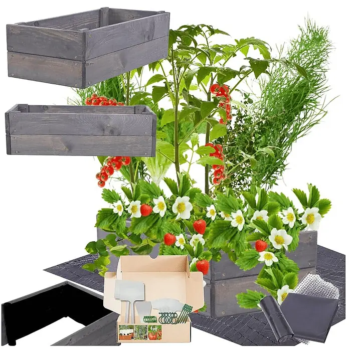 Hochbeete Growline Holz | HxBxT 18x63x30 cm | Kieferholz | Grau -  - Graues Hochbeet-Set aus Holz mit wachsenden Pflanzen wie Erdbeeren und Tomaten, sowie Gartenzubehör und Werkzeugen.