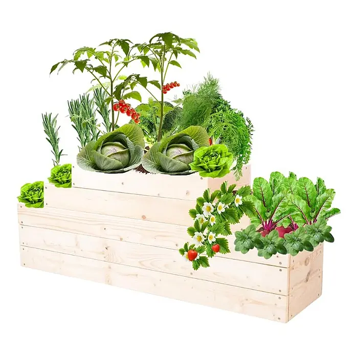 Hochbeete GardenStep Holz | HxBxT 45x117x30cm | 3 Ebenen | Holz | Natur -  - Dreistufiges Hochbeet aus hellem Kiefernholz, bepflanzt mit verschiedenen Gemüsesorten und Kräutern.