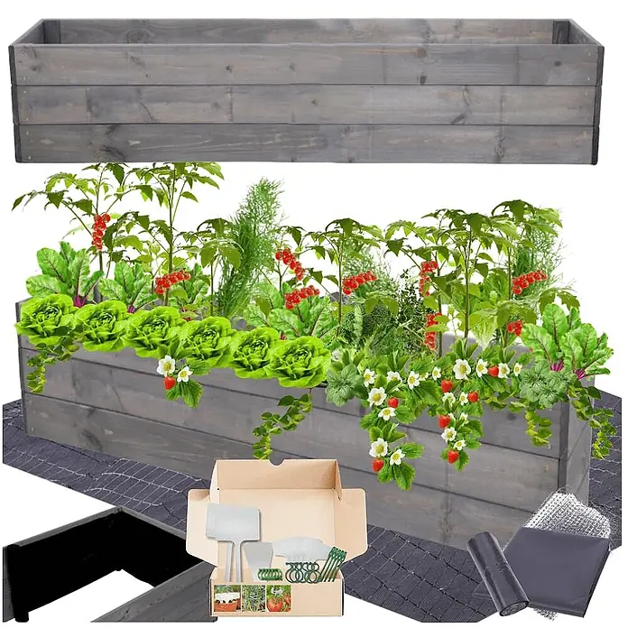 Hochbeete Growline Holz | HxBxT 27x120x30 cm | Kieferholz | Grau -  - Graues Hochbeet aus Holz mit verschiedenen Pflanzen und einem Gartengeräte-Set.
