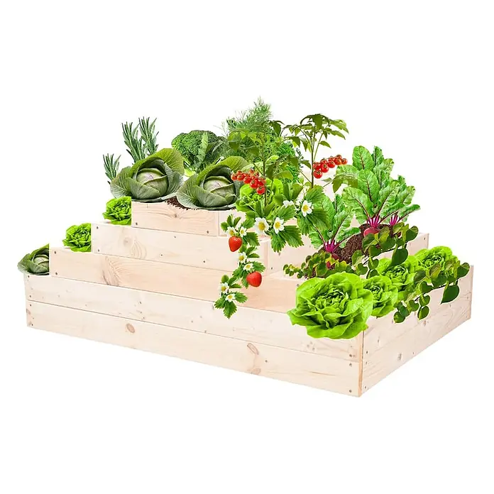 Hochbeete GardenStep Holz | HxBxT 45x117x60cm | 4 Ebenen | Holz | Natur -  - Mehrstufiges Hochbeet aus hellem Holz, bepflanzt mit Gemüse, Kräutern und Obst.