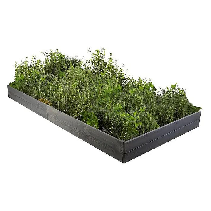 Hochbeete Growline Holz | HxBxT 18x203x117 cm | Kieferholz | Grau -  - Dunkelgraues Hochbeet aus Holz, befüllt mit verschiedenen grünen Pflanzen und Kräutern.
