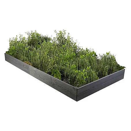 Hochbeete Growline Holz | HxBxT 18x203x117 cm | Kieferholz | Grau