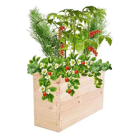 Hochbeete Growline Holz | HxBxT 54x103x30 cm | Kieferholz | Natur