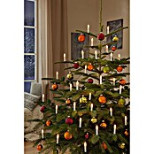 Tween Light Guirnalda luminosa LED (Para interior, 30 luces, Negro, Longitud del cable: 13,05 m)