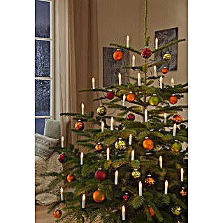 Tween Light Velas de Navidad LED (14,55 m, Blanco, Color de luz: Blanco cálido, 30 ud., IP20)