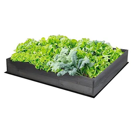 Hochbeete Growline Holz | HxBxT 18x120x117 cm | Kieferholz | Grau