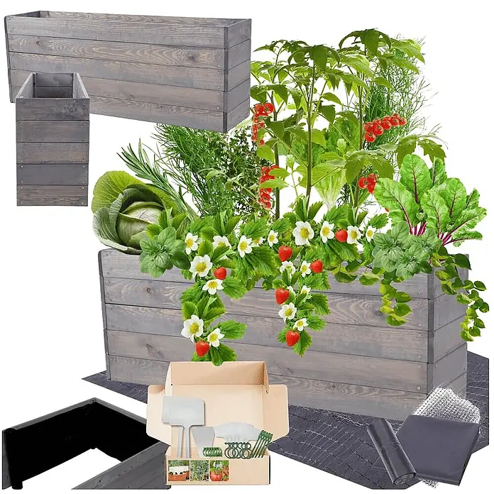 Hochbeete Growline Holz | HxBxT 45x120x30 cm | Kieferholz | Grau -  - Graues Hochbeet-Set aus Holz, enthält rechteckige und quadratische Pflanzgefäße, Werkzeuge und Folien, mit Pflanzen gezeigt.